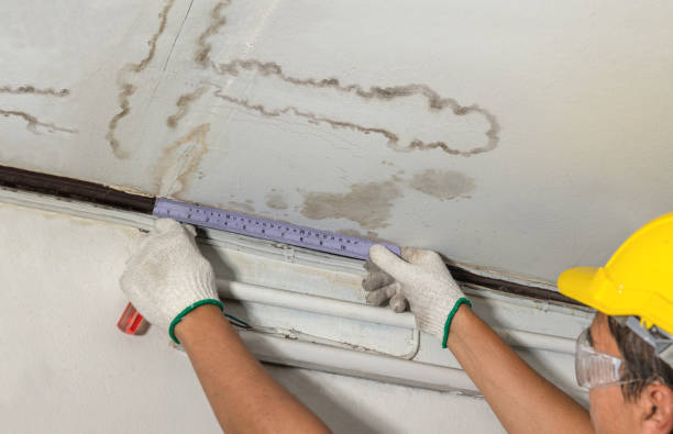 Reliable Burst Pipe Cleanup contractor in Lignum, VA by Water Damage Irwin